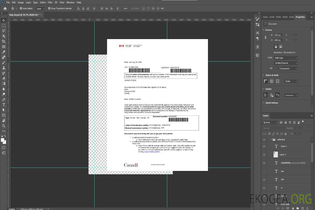 Modèle de visa électronique canadien aux formats Word et PDF template Modèle de visa électronique canadien aux formats Word et PDF template